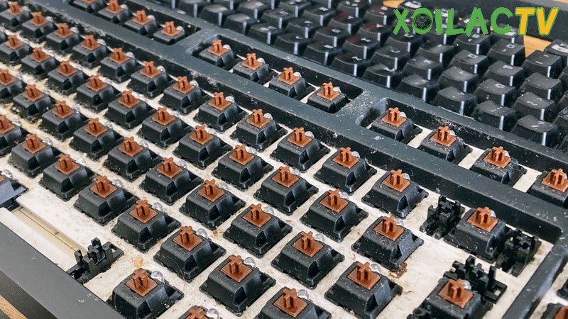 Tháo các phím là một trong những bước vệ sinh bàn phím cơ
