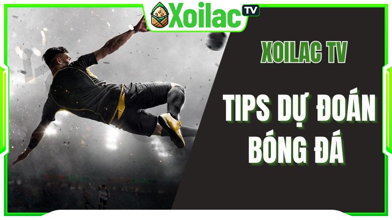 Xem bóng đá Xoilac và nhận những tips kèo dự đoán cực chuẩn